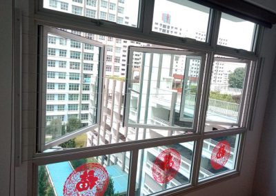 Fixed Window Invisible Grilles 1