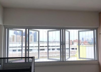 Fixed Window Invisible Grilles 2